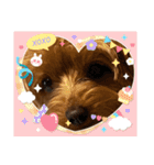 新しい 犬スタンプ 2（個別スタンプ：25）
