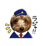 新しい 犬スタンプ 2（個別スタンプ：30）