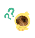 新しい 犬スタンプ 2（個別スタンプ：31）