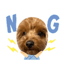 新しい 犬スタンプ 2（個別スタンプ：33）