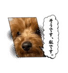 新しい 犬スタンプ 2（個別スタンプ：35）