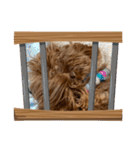 新しい 犬スタンプ 2（個別スタンプ：40）