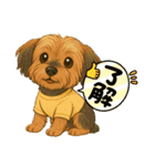 垂れ耳ヨーキーROCO.4（個別スタンプ：1）