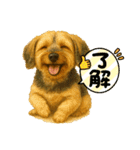 垂れ耳ヨーキーROCO.4（個別スタンプ：2）