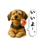 垂れ耳ヨーキーROCO.4（個別スタンプ：5）