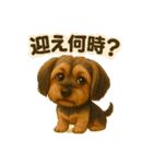 垂れ耳ヨーキーROCO.4（個別スタンプ：9）