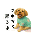 垂れ耳ヨーキーROCO.4（個別スタンプ：11）