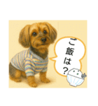 垂れ耳ヨーキーROCO.4（個別スタンプ：12）