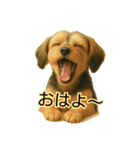 垂れ耳ヨーキーROCO.4（個別スタンプ：17）