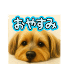 垂れ耳ヨーキーROCO.4（個別スタンプ：19）