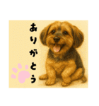 垂れ耳ヨーキーROCO.4（個別スタンプ：23）
