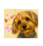 垂れ耳ヨーキーROCO.4（個別スタンプ：24）