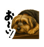 垂れ耳ヨーキーROCO.4（個別スタンプ：30）