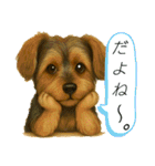 垂れ耳ヨーキーROCO.4（個別スタンプ：32）