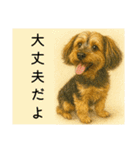 垂れ耳ヨーキーROCO.4（個別スタンプ：35）