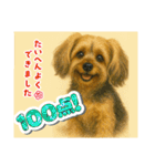 垂れ耳ヨーキーROCO.4（個別スタンプ：38）