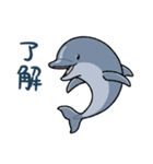 イルカは半球睡眠（個別スタンプ：1）