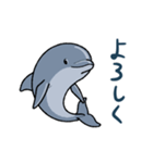 イルカは半球睡眠（個別スタンプ：3）