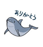 イルカは半球睡眠（個別スタンプ：5）