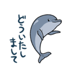 イルカは半球睡眠（個別スタンプ：9）