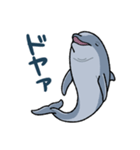 イルカは半球睡眠（個別スタンプ：12）