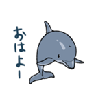 イルカは半球睡眠（個別スタンプ：13）