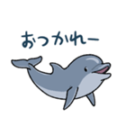 イルカは半球睡眠（個別スタンプ：16）