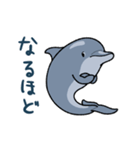イルカは半球睡眠（個別スタンプ：22）