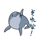 イルカは半球睡眠（個別スタンプ：23）