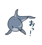 イルカは半球睡眠（個別スタンプ：24）