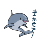 イルカは半球睡眠（個別スタンプ：26）