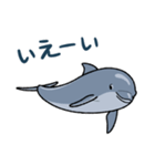 イルカは半球睡眠（個別スタンプ：30）