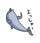 イルカは半球睡眠（個別スタンプ：33）