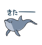 イルカは半球睡眠（個別スタンプ：35）