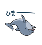 イルカは半球睡眠（個別スタンプ：36）
