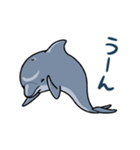 イルカは半球睡眠（個別スタンプ：38）