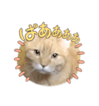 はるオカンスタンプ（個別スタンプ：7）