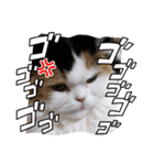 はるオカンスタンプ（個別スタンプ：9）