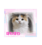 はるオカンスタンプ（個別スタンプ：11）