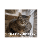 はるオカンスタンプ（個別スタンプ：14）