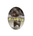 谷川家のくま子さん2（ハムスター）（個別スタンプ：2）