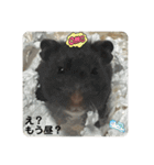 谷川家のくま子さん2（ハムスター）（個別スタンプ：5）