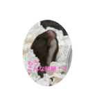 谷川家のくま子さん2（ハムスター）（個別スタンプ：11）