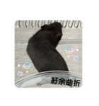 谷川家のくま子さん2（ハムスター）（個別スタンプ：18）