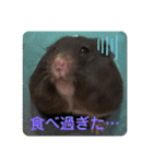 谷川家のくま子さん2（ハムスター）（個別スタンプ：23）