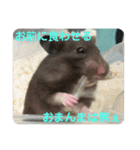 谷川家のくま子さん2（ハムスター）（個別スタンプ：28）