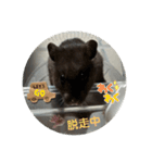 谷川家のくま子さん2（ハムスター）（個別スタンプ：30）