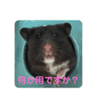 谷川家のくま子さん2（ハムスター）（個別スタンプ：34）