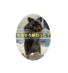 谷川家のくま子さん2（ハムスター）（個別スタンプ：36）