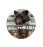 谷川家のくま子さん2（ハムスター）（個別スタンプ：38）